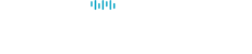 Audiience™ Logo